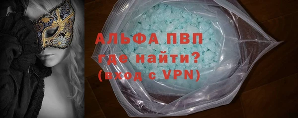 спайс Гусев