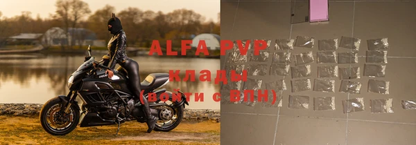 спайс Гусев