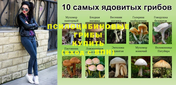 каннабис Горняк