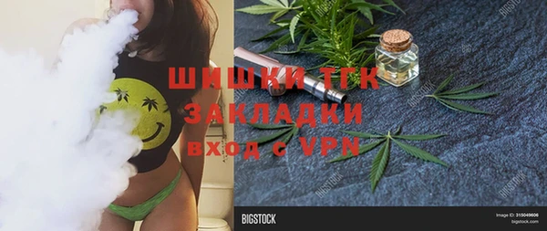 гидра Гусиноозёрск