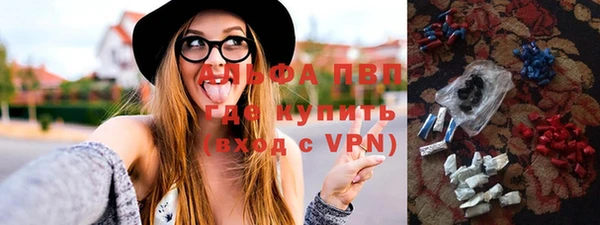 гидра Гусиноозёрск