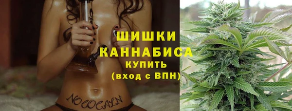 спайс Гусев